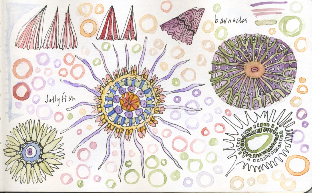 jellyfishbarnacles